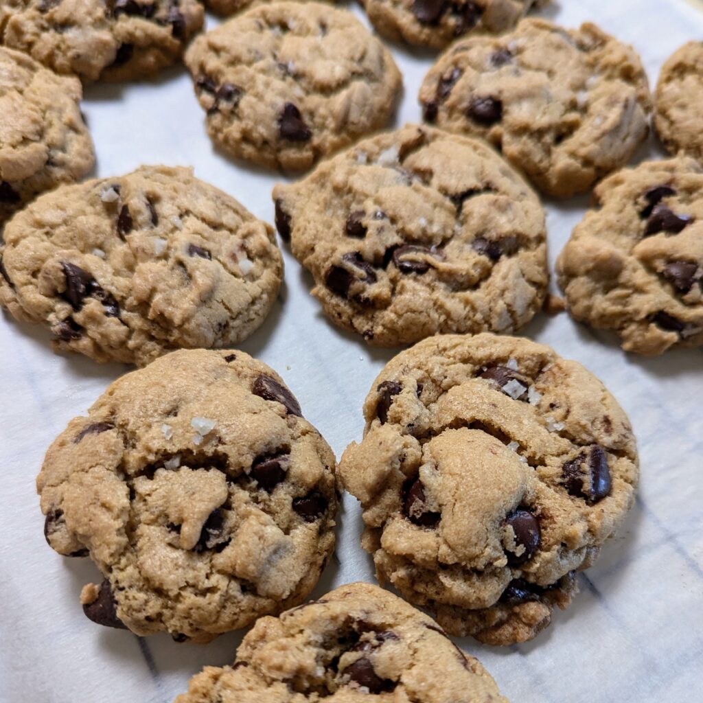 gluten free and dairy free chocolate chip cookie