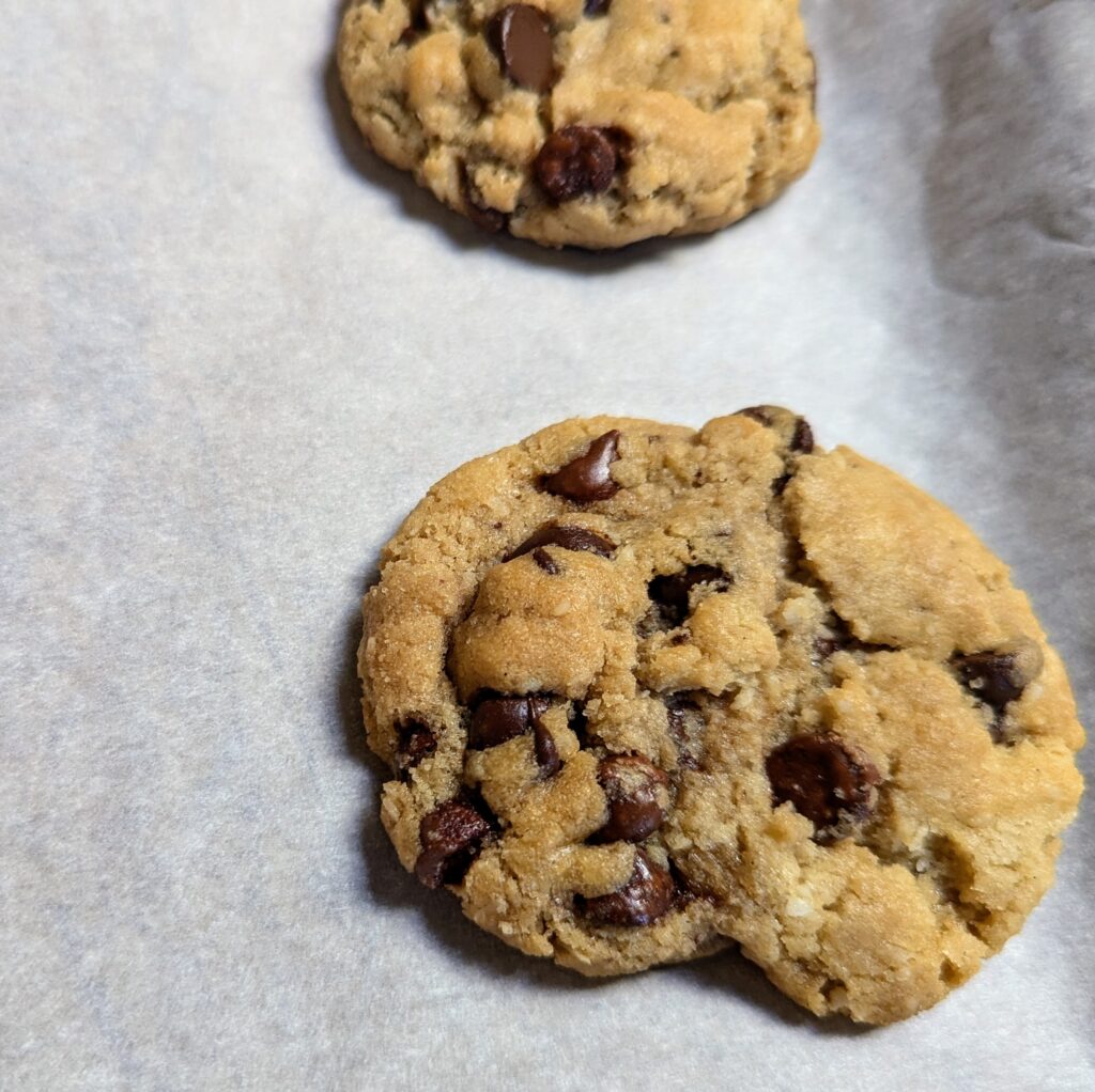 gluten free and dairy free chocolate chip cookie