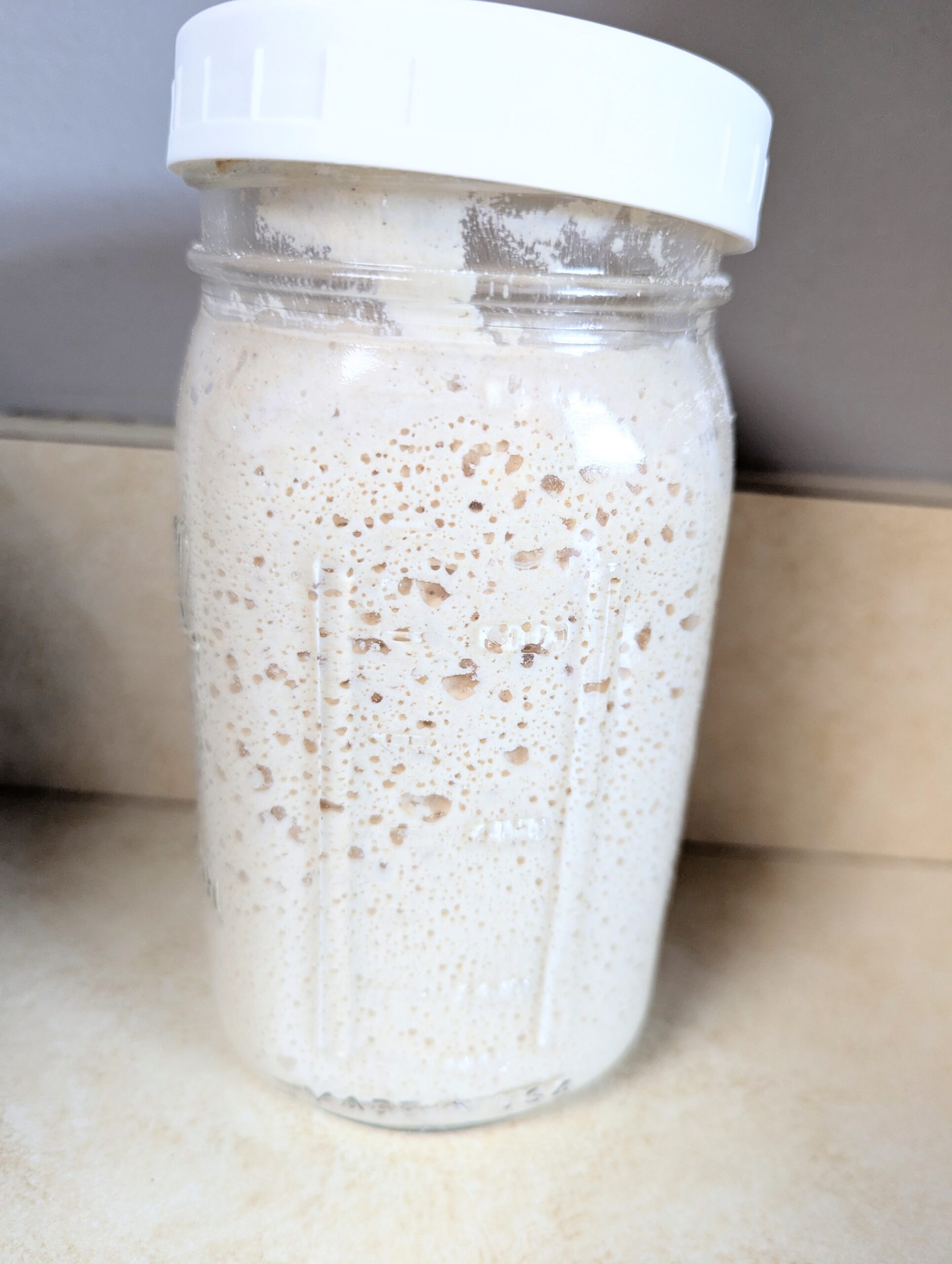 gluten free sourdough starter