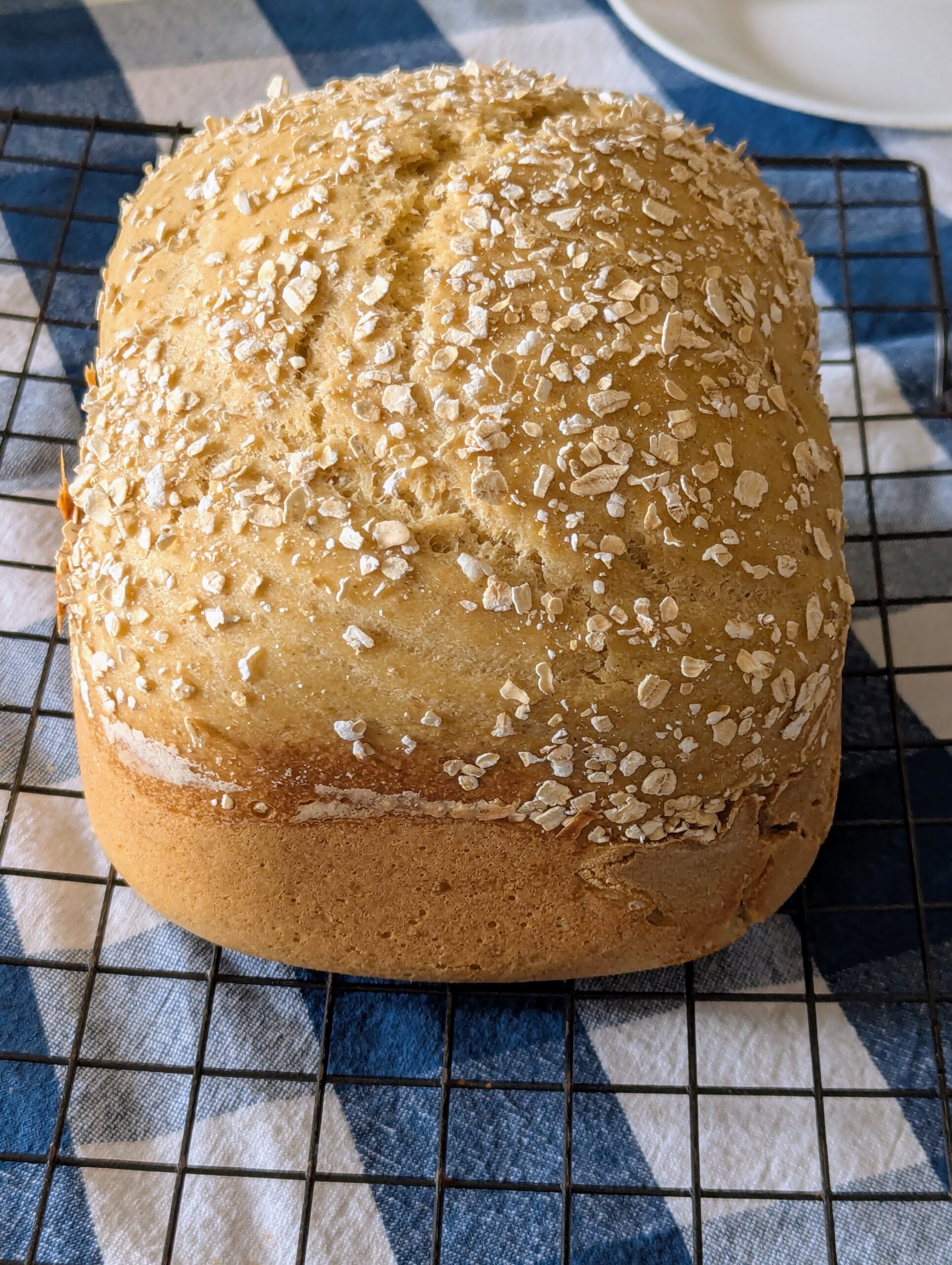 Honey oat gluten free sourdough bread in the bread machine