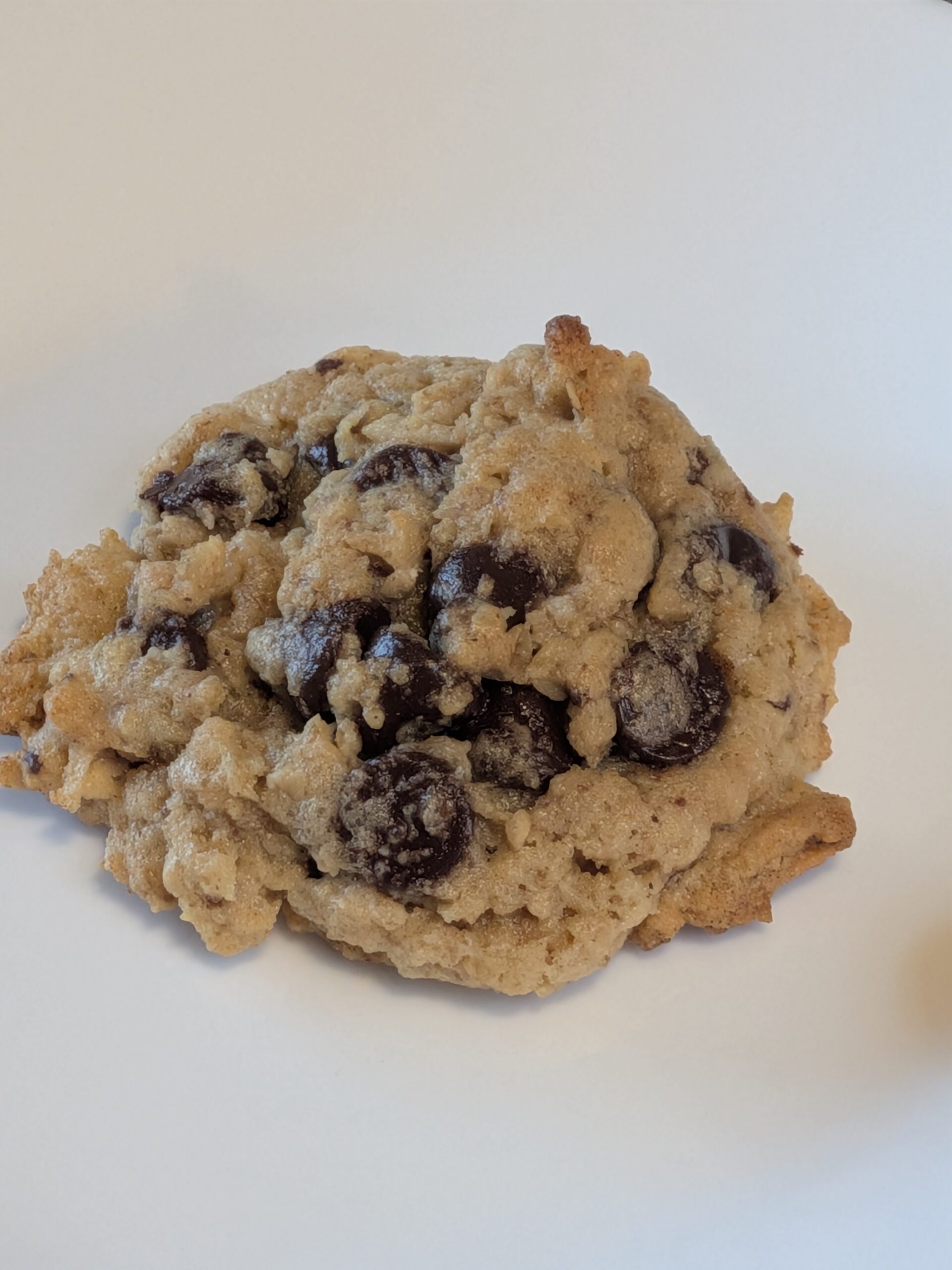 gluten free chocolate chip cookie with oatmeal and coconut